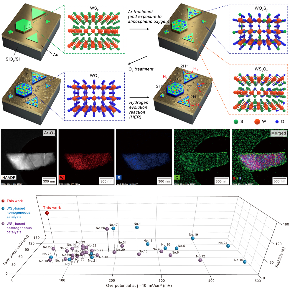 Hongik University - KIST Research Team Achieves Next-Generation Catalyst Development Using Tungsten Disulfide (WS2) as a